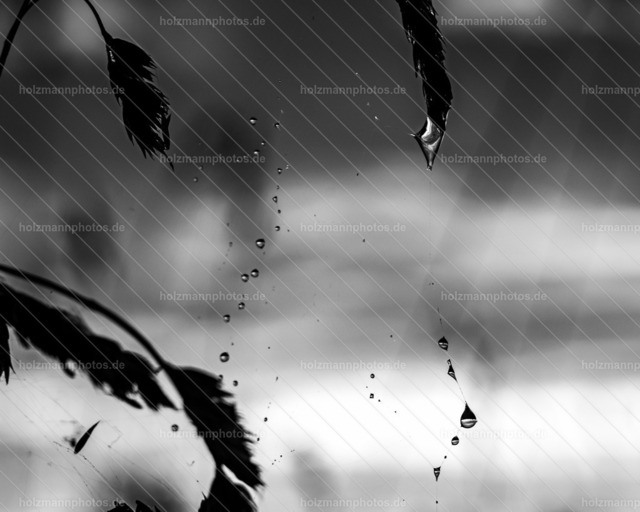 IMG_6087 | Fotograf Leipzig für Hochzeiten, Familienfeste & Porträts. Persönlich, ehrlich & echt – Emotion im Fokus. Jetzt Fotoshooting bei Holzmannphotos buchen!