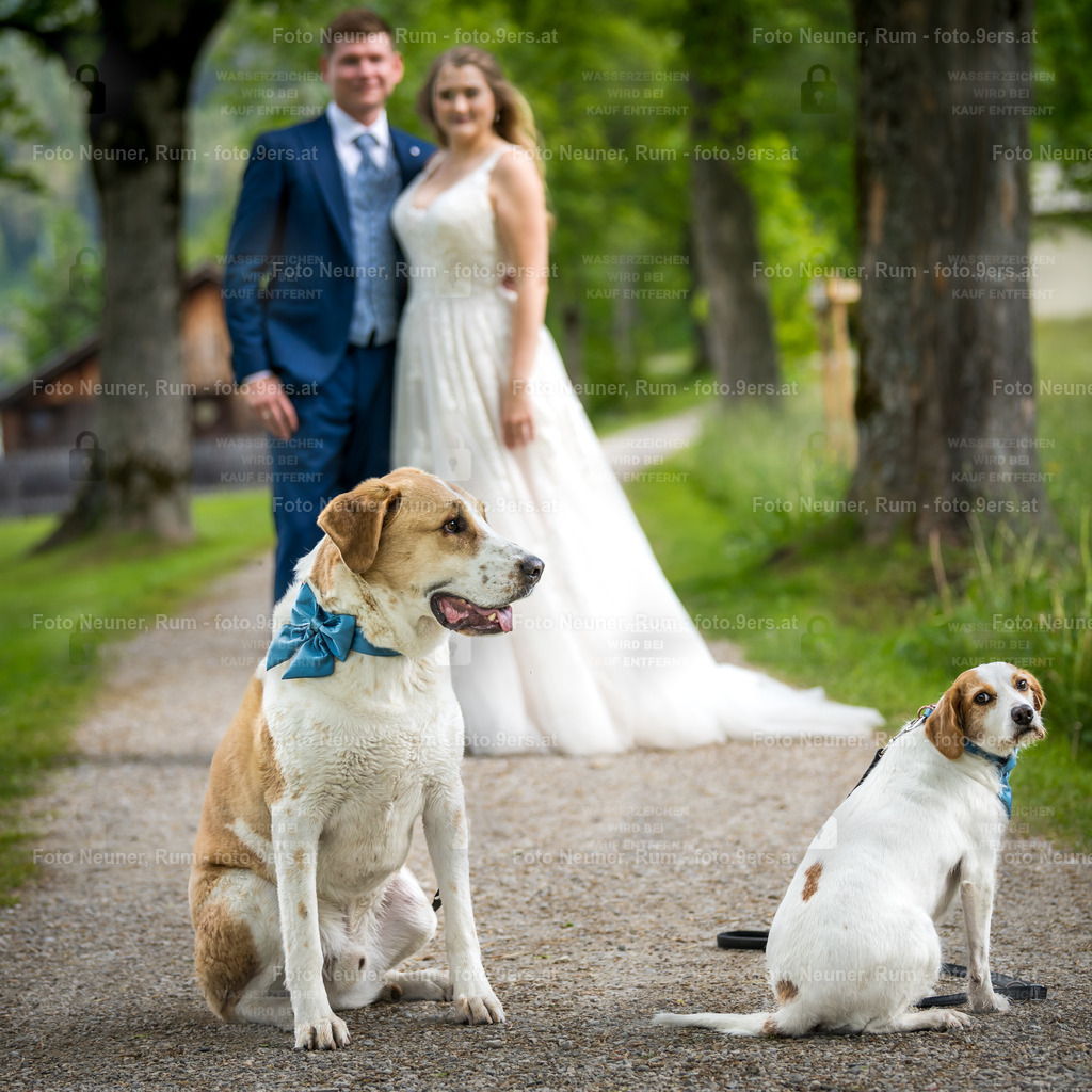 foto.9ers.at-107-_H998062 | Hochzeit, Portraits, Headshots, Food- und Immobilienfotografie in Tirol. 360°, Drohne und mehr. Kontaktieren Sie mich einfach via Mail per foto@9ers.at - Realisiert mit Pictrs.com