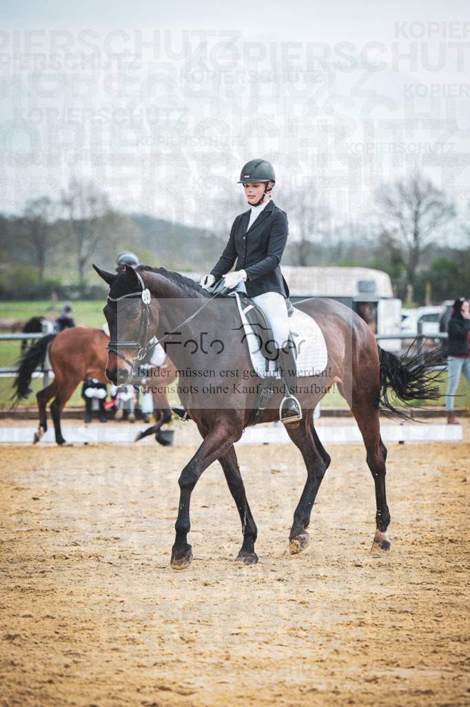 DOS_7681 | Entdecke hochwertige Reitturnierfotos von Foto Oger. Professionell, emotional und authentisch – jetzt Lieblingsmomente im Shop bestellen.Deutschlandweite Turnierfotografie. - Realisiert mit Pictrs.com
