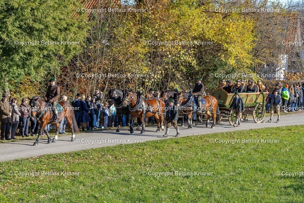 LBT25-161 | foto-bettina-krinner - Realisiert mit Pictrs.com