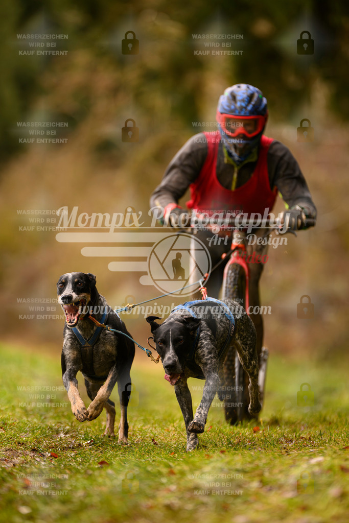 MompixPhotography_2SSTSSBW_2025_SO_Scooter-62 | PayLife
