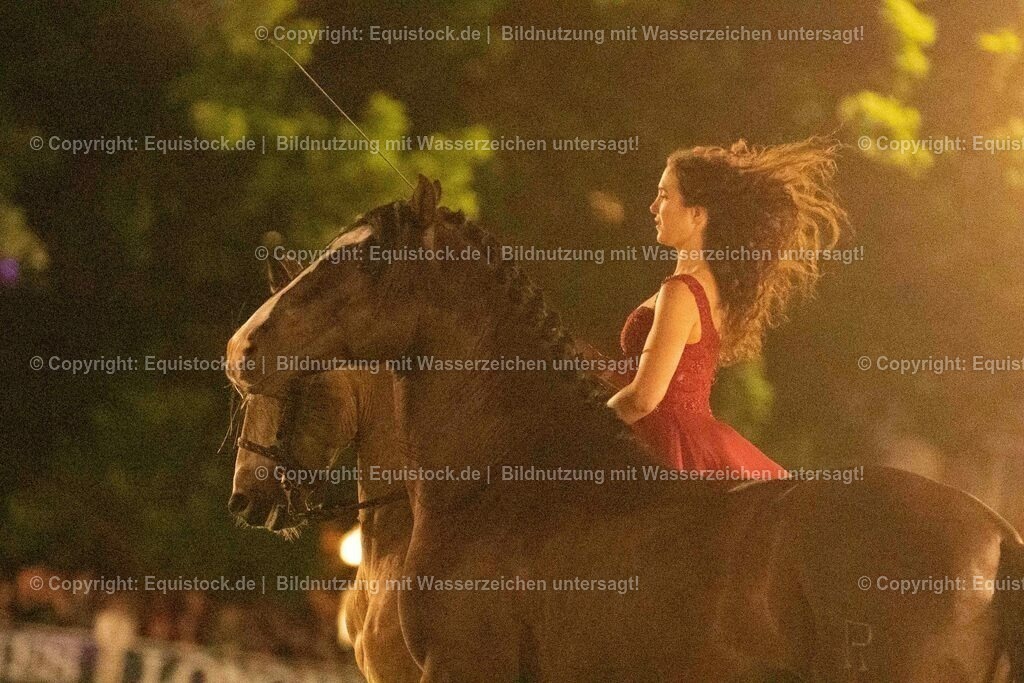 20230526_Pferdenacht_1414 | equistock