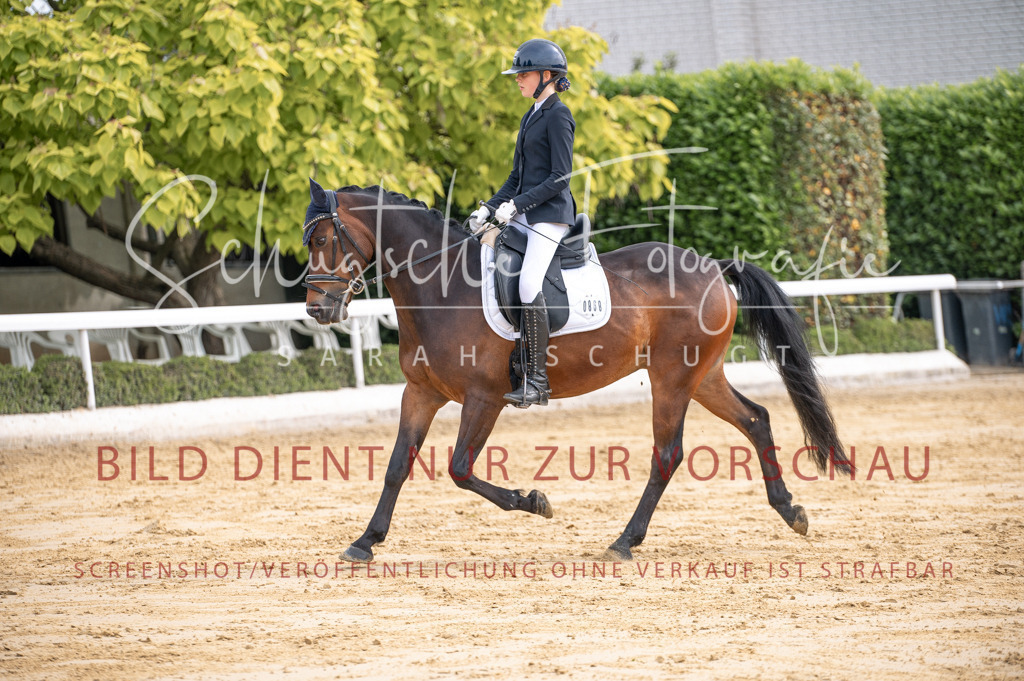 Schugtsche-Aluta25-40.DressurprfA_-231 | Schugtsche Fotografie - Realisiert mit Pictrs.com