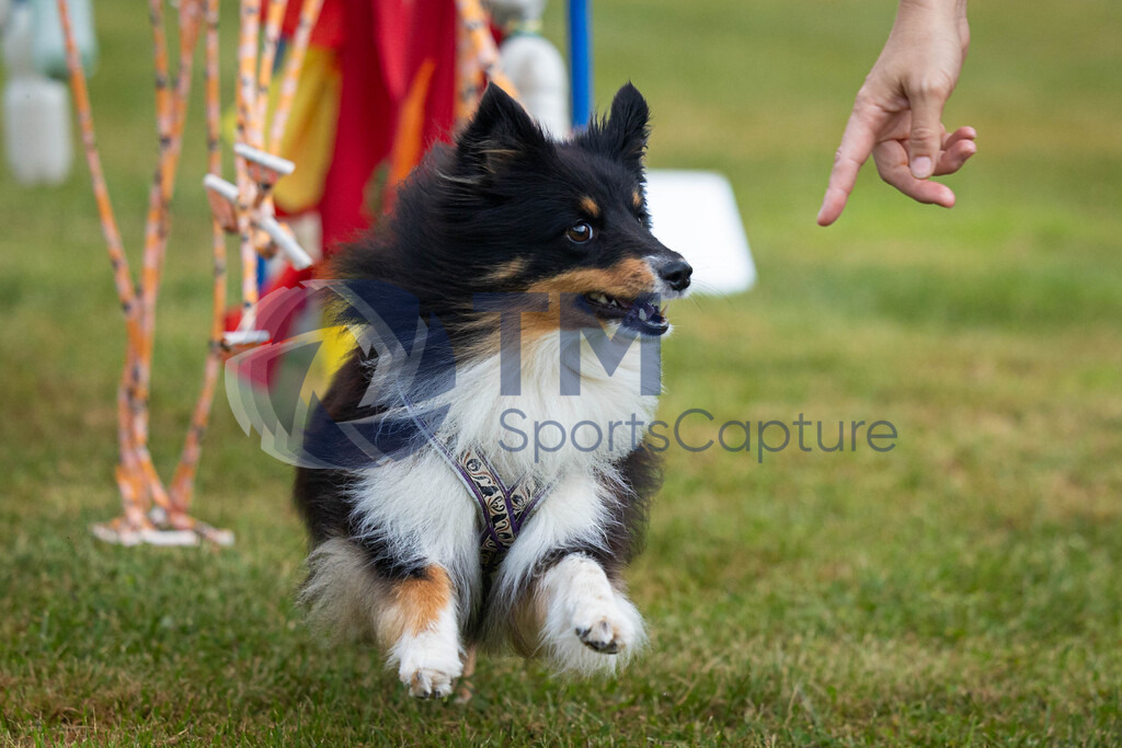 TP-20240815-0042 | Copyright: Trainproduction / Matthias Trinkl