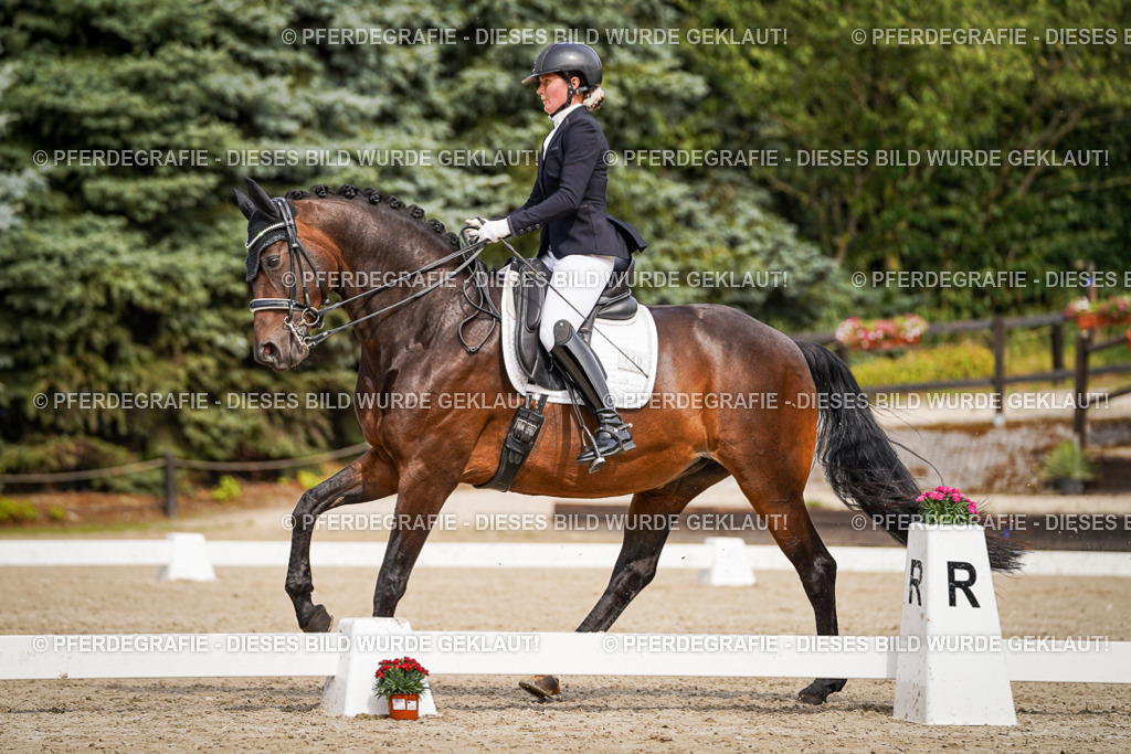 DSC06202 | Pferdegrafie