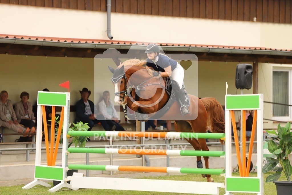 IMG_7911 | Pauline Ullmann Photography - Realisiert mit Pictrs.com