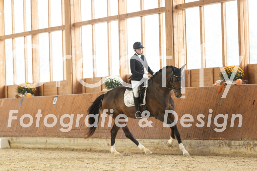 IMG_1471 | Creatify Fotografie