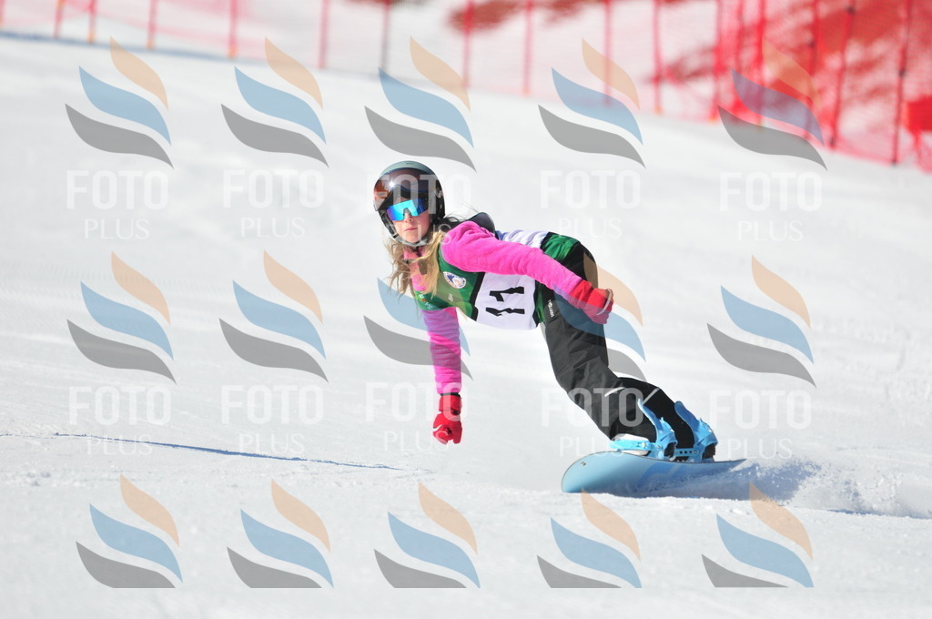 C2416 | holidayphoto