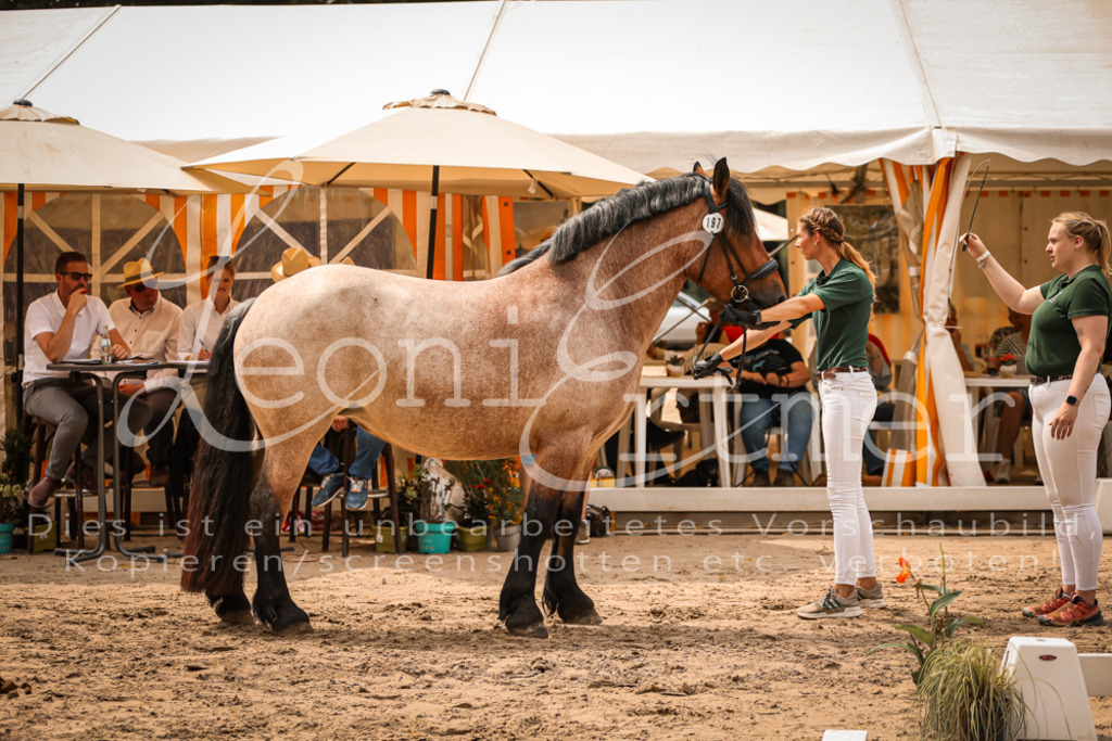 4.Sa00033 | Leoni Ertmer Photography - Realisiert mit Pictrs.com