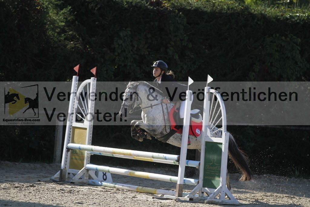 _MG_4016 | equestrian-live-com
