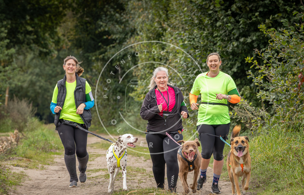Pfotenfotografie_DV3A6000 | Hundefotografie, Tierfotograf, Pfotenfotografie, Fotoshooting Hund, Hunde Portrait, Hundesport, Hundeportraits, Heideshooting, Hunde, Sportfotograf, Hundefotograf, Turnierhundsport, THS,  - Realisiert mit Pictrs.com