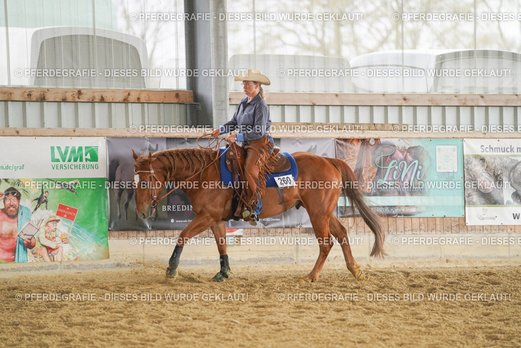 DSC05531 | Pferdegrafie