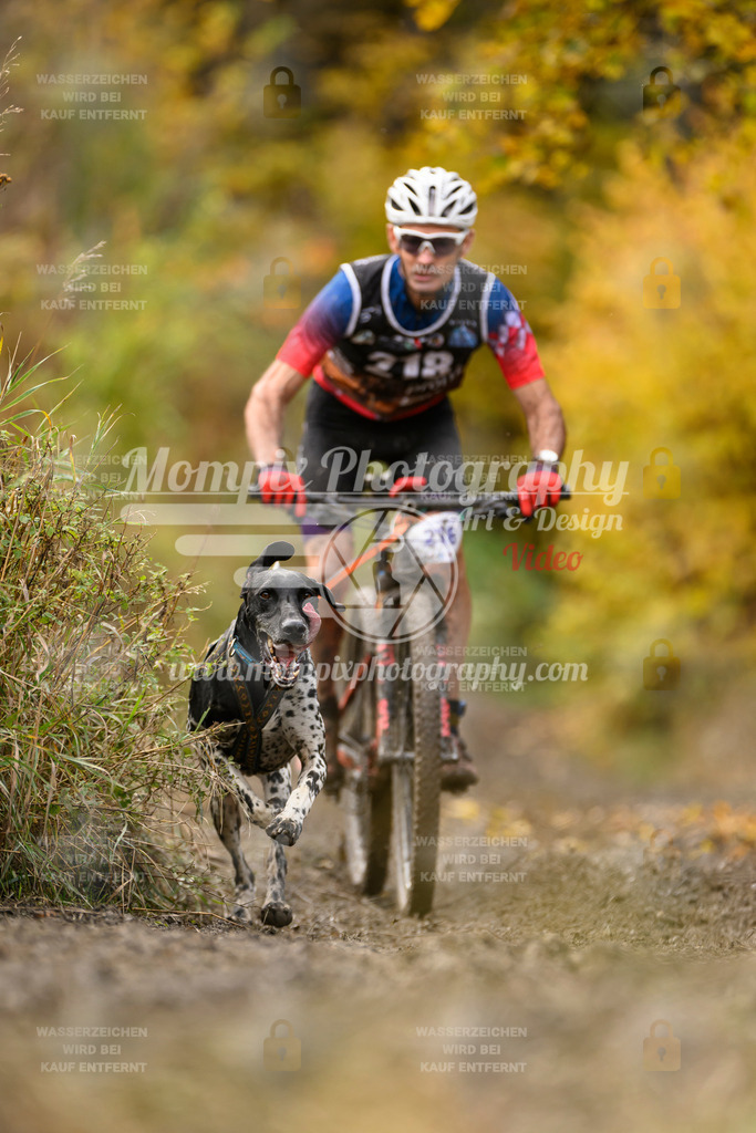 MompixPhotography_ICF_WC_2024_SA_Bike_-357 | PayLife
