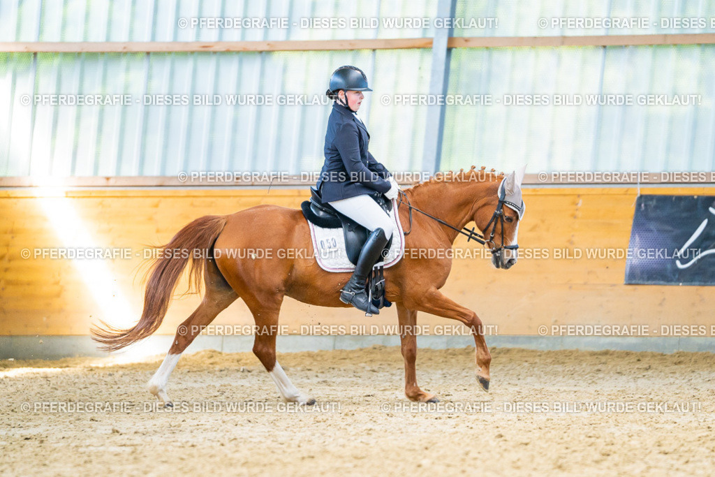 DSC07722 | Pferdegrafie