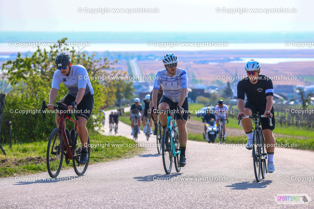 TRA_0200 | Neusiedlersee Radmarathon 2026@sportshot_your_pictrs #yourpictures#roadtowm2029 #nrm #neusiedlerseeradmarathon #neusiedlersee #neusiedlerseetourismus #burgenland #mörbisch #nrm26 #burgenlandtourismus #voglundco #poweredbyburgenlandtourismus #radsport #rad #marathon #ucigranfondo #visitburgenland #ucigranfondoworldseries