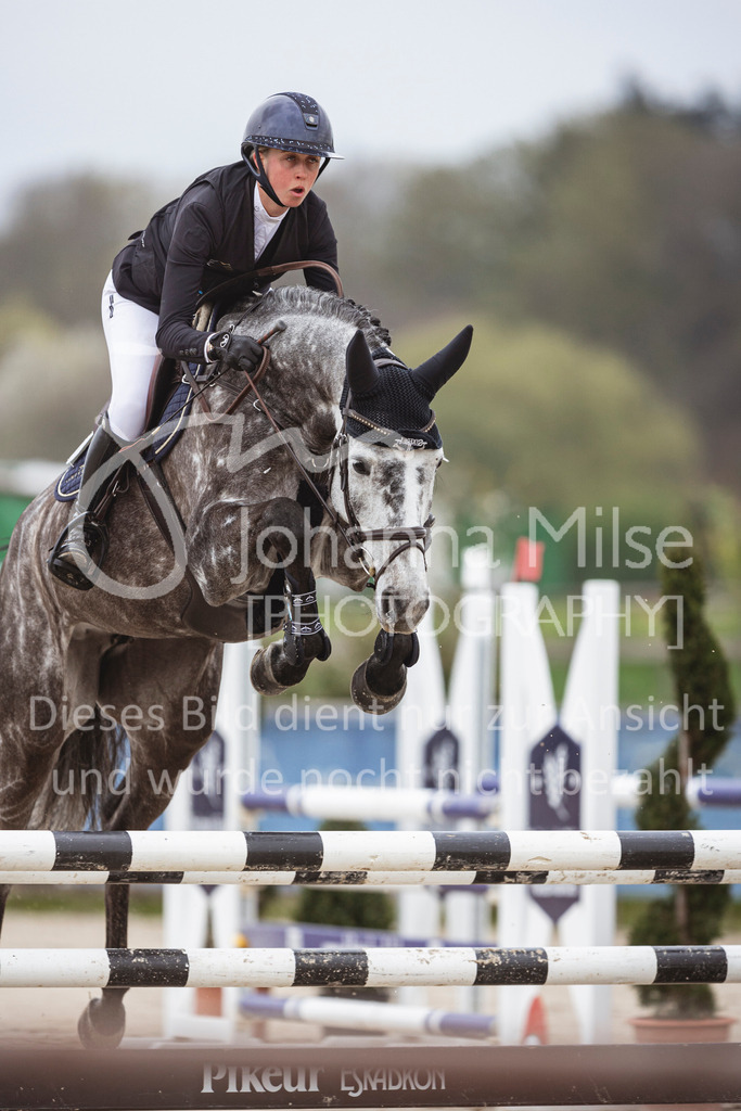 250417_Springpferde-L1-204 | Deine schönsten Turniermomente als professionelle Fotos! Entdecke hochwertige Pferdesport-Fotografie im Online-Shop. Jetzt Fotos finden & bestellen!