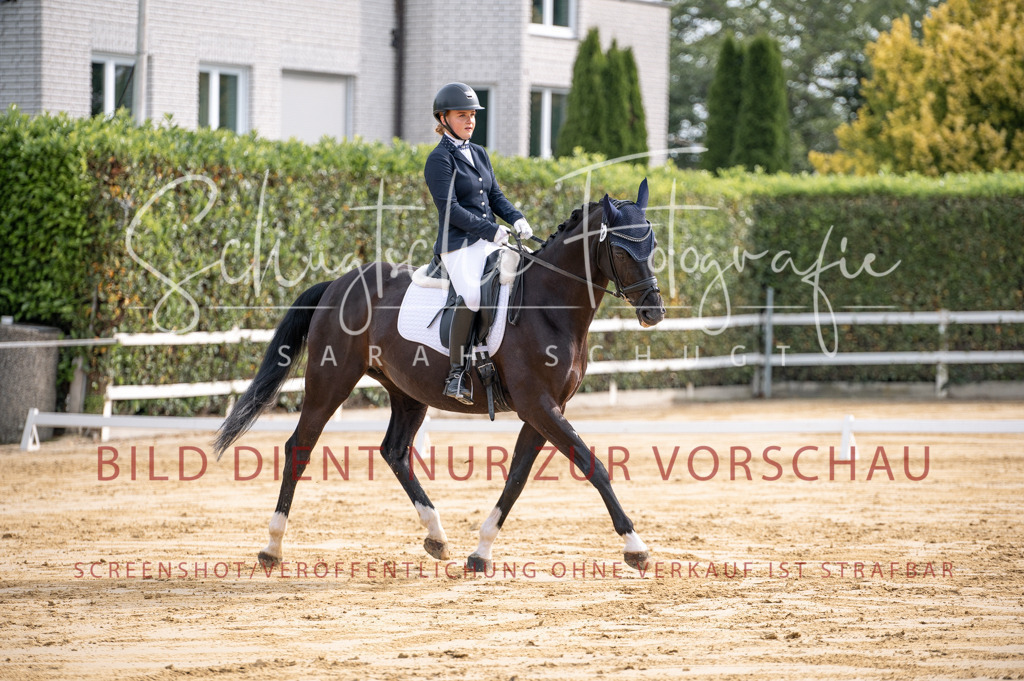 Schugtsche-Aluta25-40.DressurprfA_-132 | Schugtsche Fotografie - Realisiert mit Pictrs.com