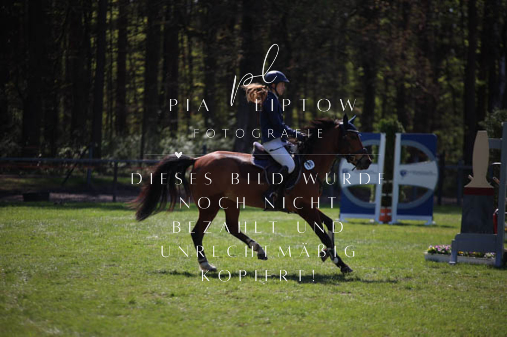 IMGT5637 | pl-fotografie