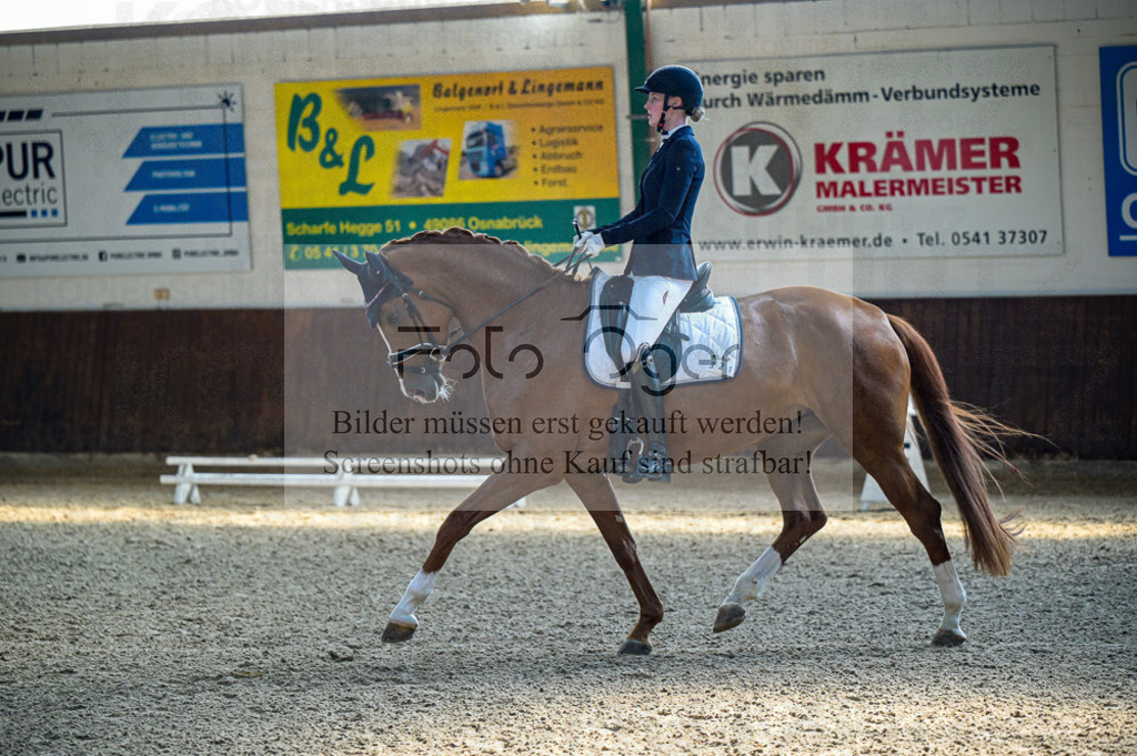 Reitturnier Voxtrup | Entdecke hochwertige Reitturnierfotos von Foto Oger. Professionell, emotional und authentisch – jetzt Lieblingsmomente im Shop bestellen.Deutschlandweite Turnierfotografie. - Realisiert mit Pictrs.com