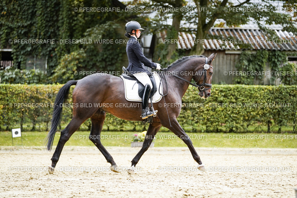 DSC00947 | Pferdegrafie