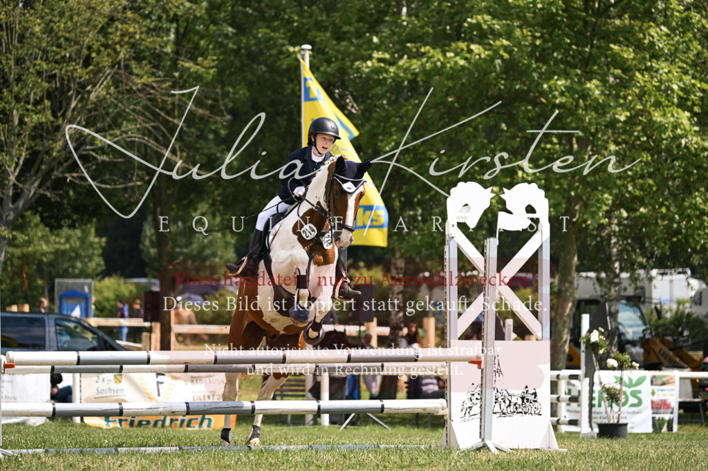 DSC_9072 | Pferde- und Turnierfotografie in Westsachsen. Pferdeportraits, Auftragszeichnungen und intuitive Kunst.