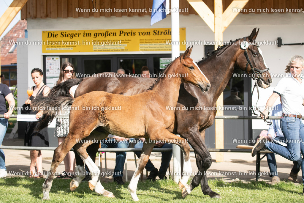 598A7006 | photographylinaismer - Realisiert mit Pictrs.com