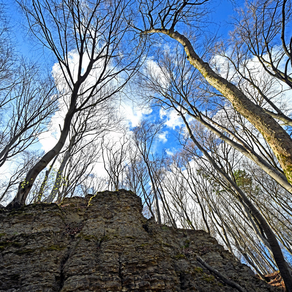 Felsen01q | lucisnaturbilder - Realisiert mit Pictrs.com