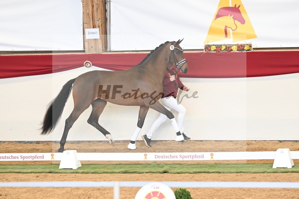 Kat.-Nr. 72 v. Red Viper_Reesink_3260900 | hf-fotografie - Realisiert mit Pictrs.com