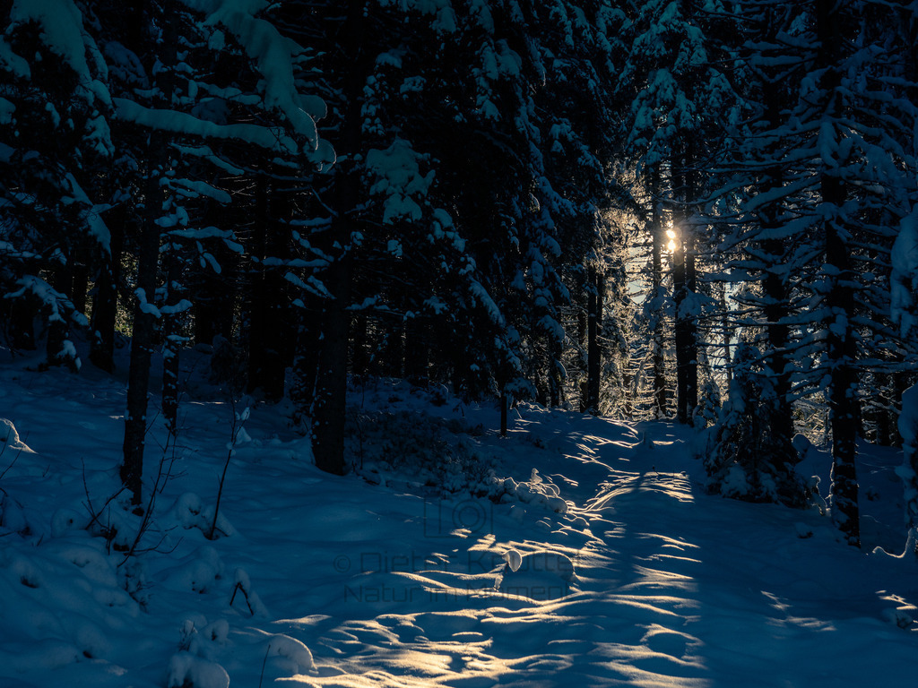 P1433325-LR | Natur im Moment - Realisiert mit Pictrs.com