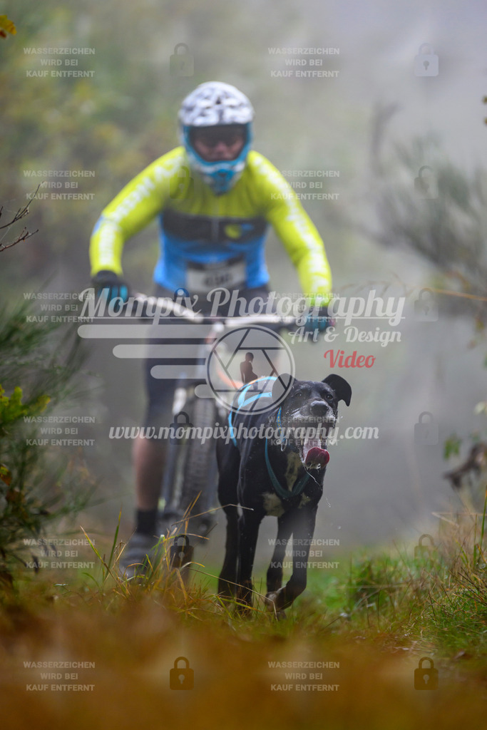 MompixPhotography_20TSB_E4_Bike-93 | PayLife