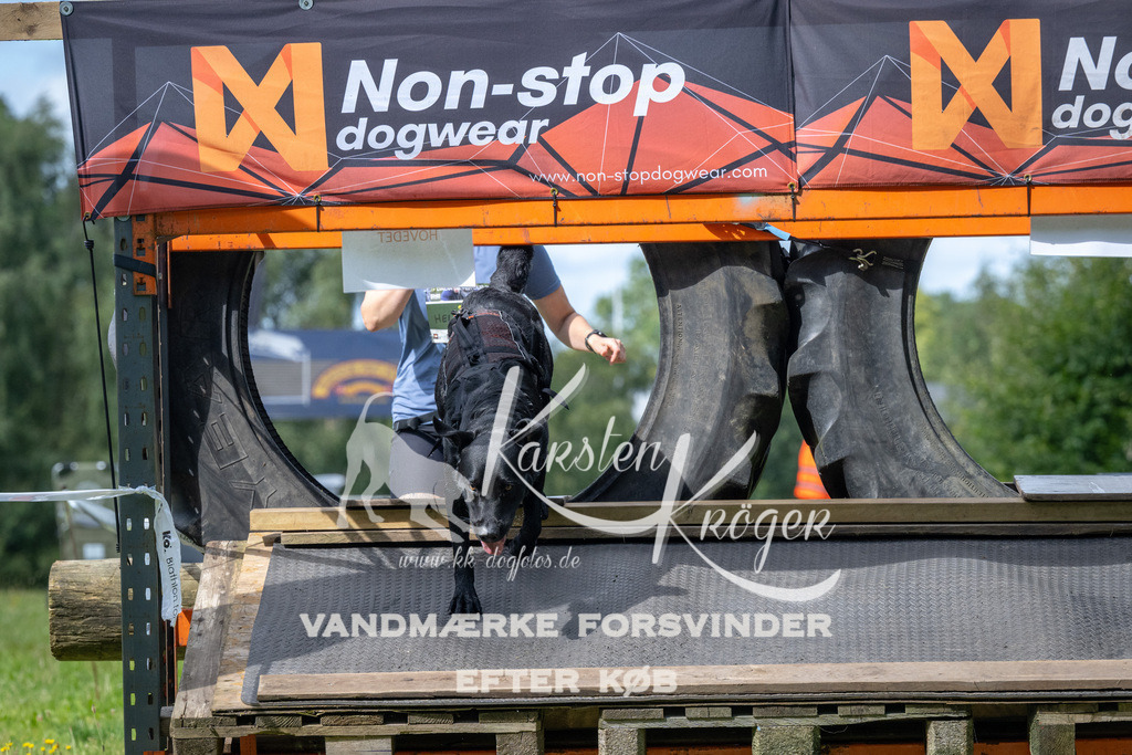 1531_ZZ93073 | kk-dogfotos