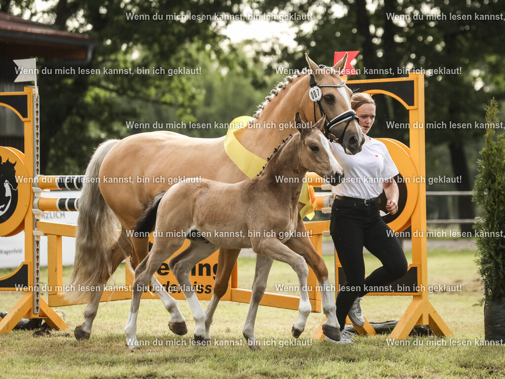 598A2615-2 | photographylinaismer - Realisiert mit Pictrs.com