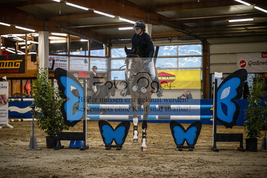 DOS_B1036 | Entdecke hochwertige Reitturnierfotos von Foto Oger. Professionell, emotional und authentisch – jetzt Lieblingsmomente im Shop bestellen.Deutschlandweite Turnierfotografie. - Realisiert mit Pictrs.com