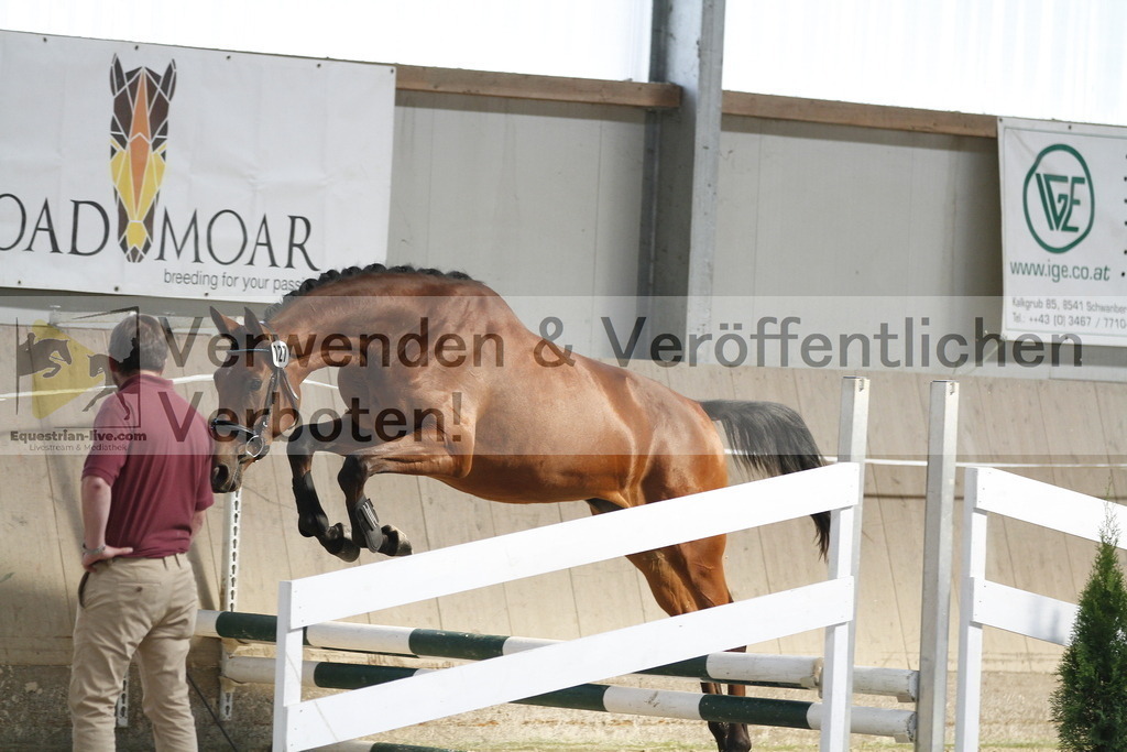_MG_0670 | equestrian-live-com