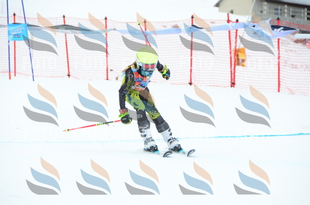 DSC_1164 | holidayphoto