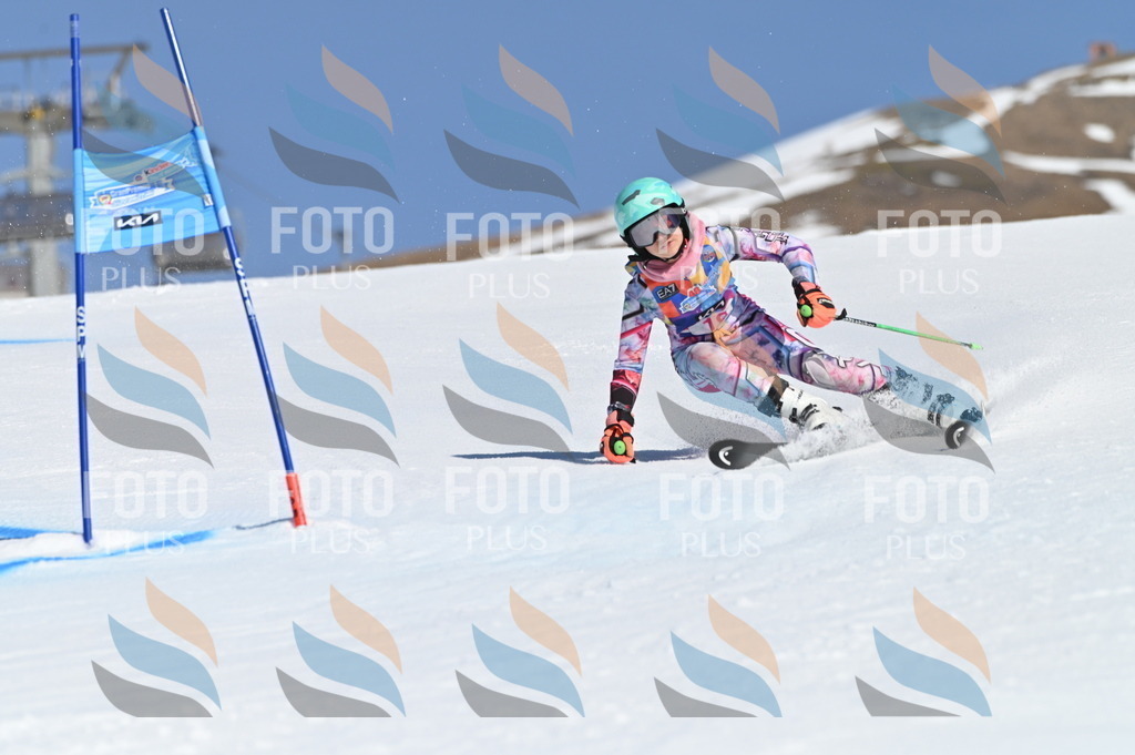 BGV_7933 | holidayphoto