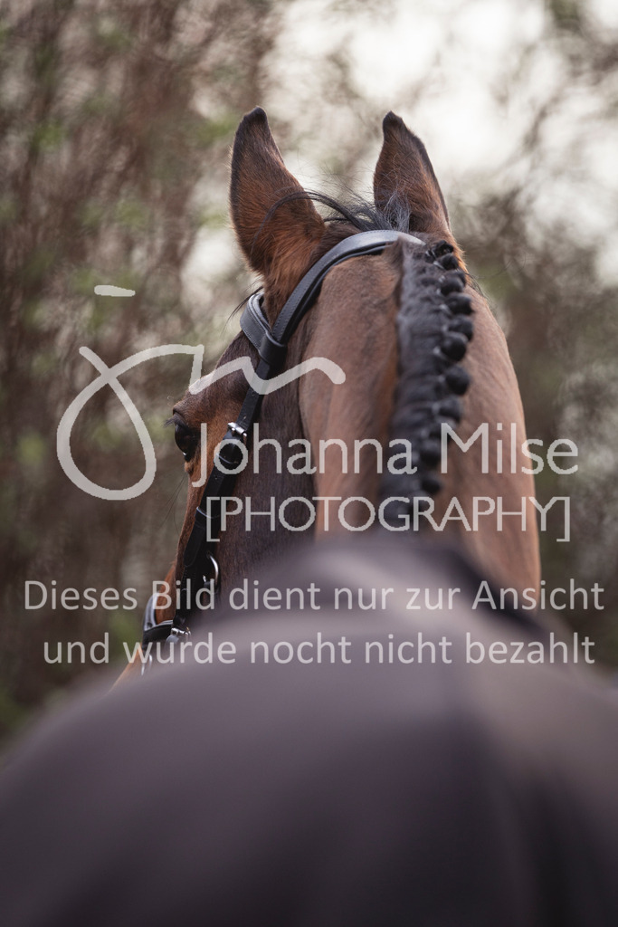 240327_Fruehlingsfest_Stil-L-2-353 | Deine schönsten Turniermomente als professionelle Fotos! Entdecke hochwertige Pferdesport-Fotografie im Online-Shop. Jetzt Fotos finden & bestellen!