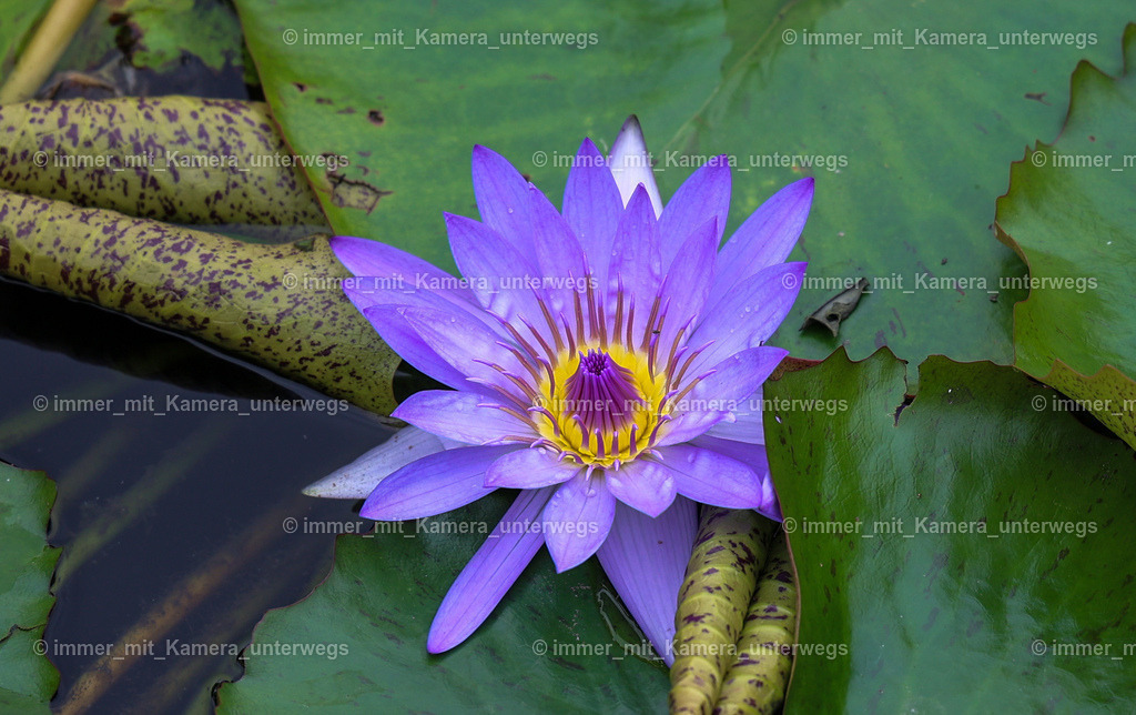 N39A6361 | immer_mit_kamera_unterwegs