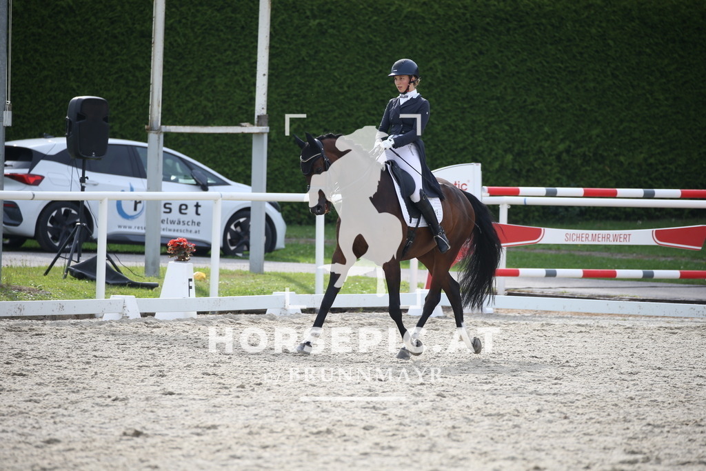 DL2Q4882 | Willkommen bei Brunnmayr - Design & Fotografie – Ihrem Spezialisten für Reitturniere und Pferdeveranstaltungen in Oberösterreich, Salzburg und Bayern! Seit über 17 Jahren sind wir leidenschaftlich dabei.