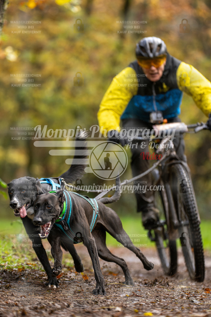 MompixPhotography_Bischwiller23_Bike2-6 | PayLife