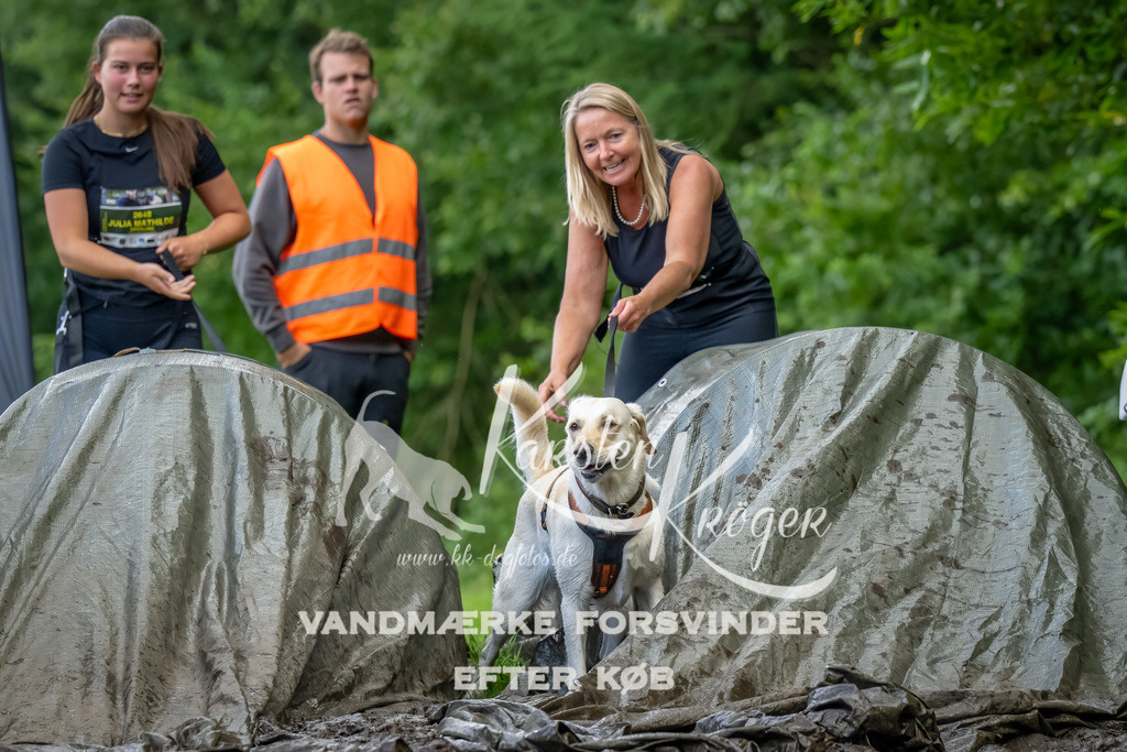 1151_ZZ94549-Bearbeitet | kk-dogfotos