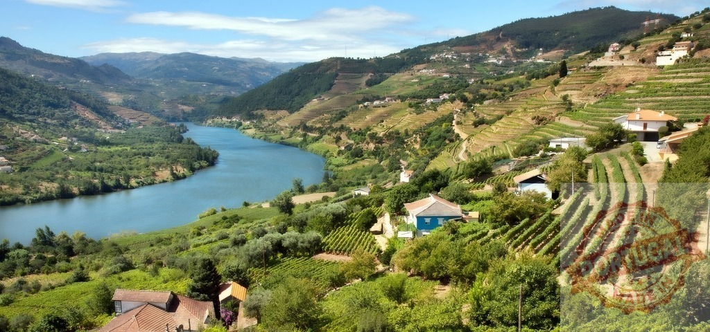 Douro Valley vineyards and river Portugal landscape | Douro River winding through terraced vineyards and green hills on a sunny day - Realisiert mit Pictrs.com