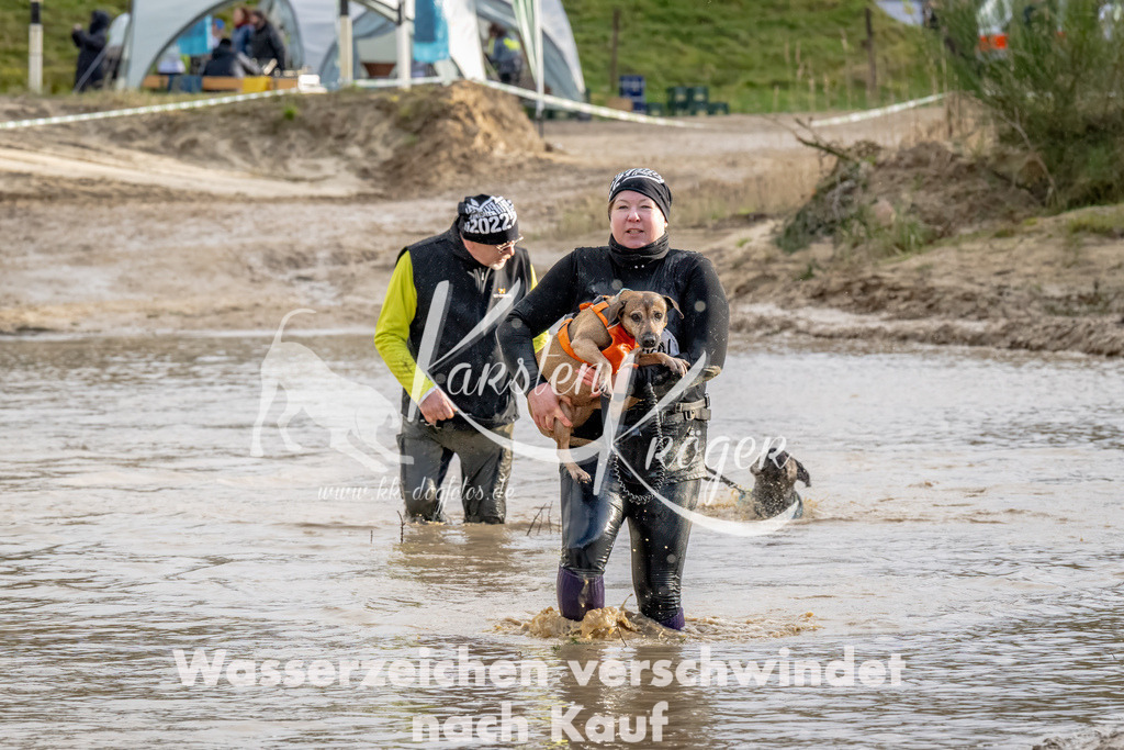 1704_ZZ90811-Bearbeitet | kk-dogfotos