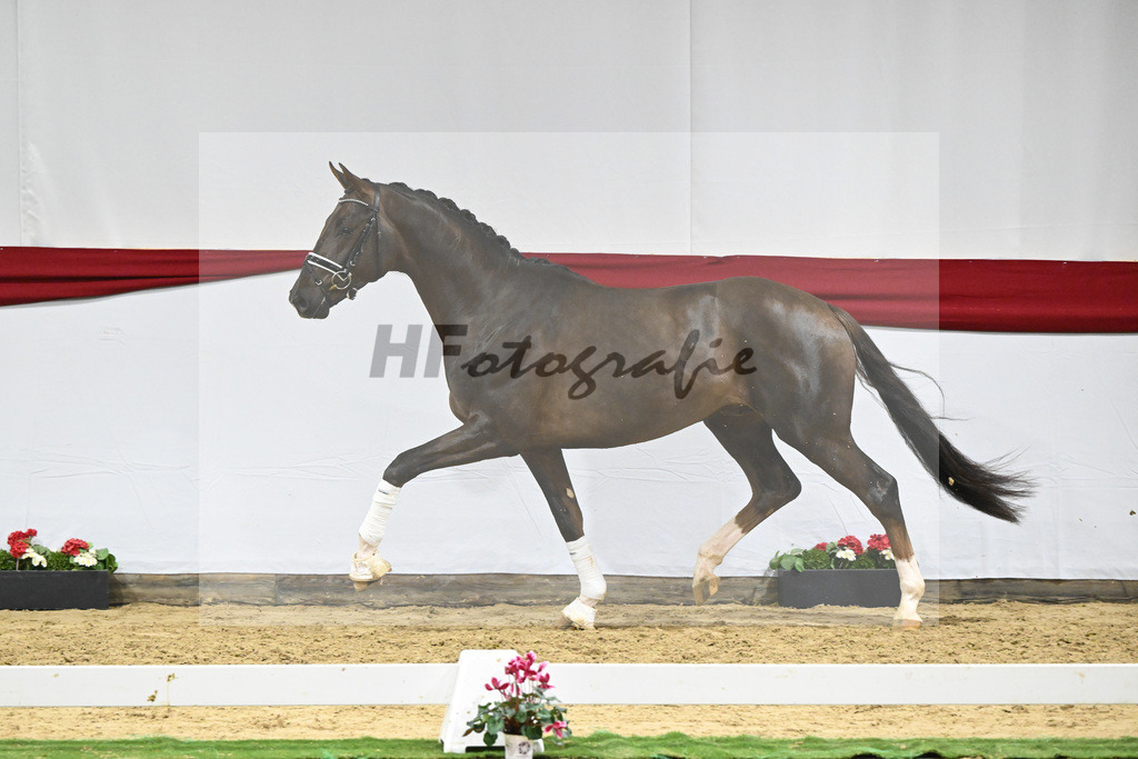 Kat-Nr. 66 v. Revolution_Reuner-Krebs_63221949 | hf-fotografie - Realizzato con Pictrs.com
