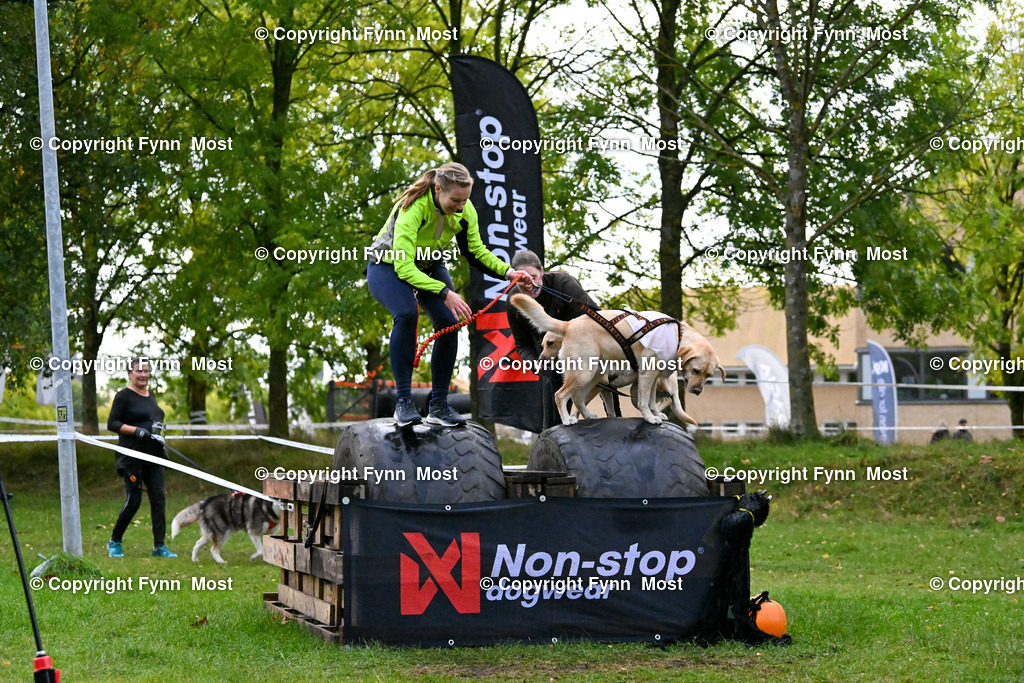 DSC_4121 | Hallo und herzlich Willkommen auf meiner Shop-Seite Fynn Most.

Ich wünsche Dir viel Spaß beim stöbern durch die Bilder, wenn Du Fragen hast oder Bilder vermisst, kannst du mir gerne eine Nachricht schreiben. - Realisiert mit Pictrs.com