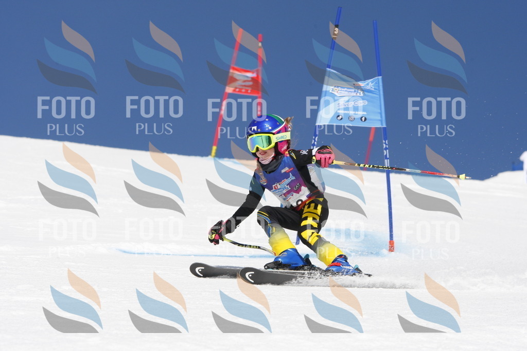 _W1G1682 | holidayphoto