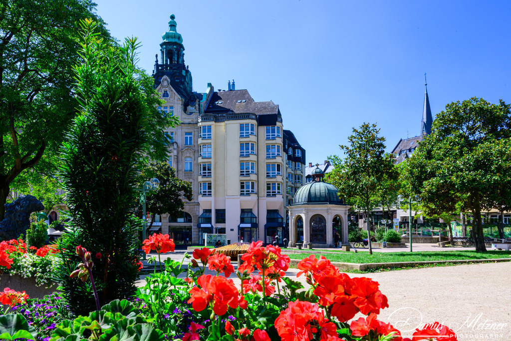 DSC_4310 | Fotografien, Fotos und Bilder aus Mainz, Frankfurt, Wiesbaden und anderen Orten auf der Welt - Fotografiert von Darius Metzner