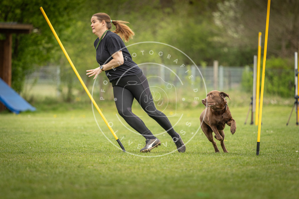 Pfotenfotografie_DV3A9377 | Hundefotografie, Tierfotograf, Pfotenfotografie, Fotoshooting Hund, Hunde Portrait, Hundesport, Hundeportraits, Heideshooting, Hunde, Sportfotograf, Hundefotograf, Turnierhundsport, THS,  - Realisiert mit Pictrs.com