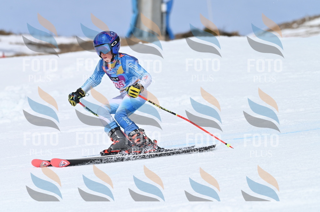 BGV_1604 | holidayphoto