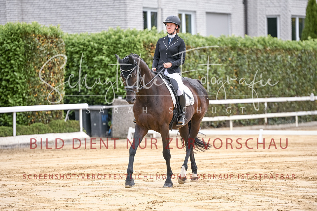 Schugtsche-Aluta25-42.EDressur -46 | Schugtsche Fotografie - Realisiert mit Pictrs.com
